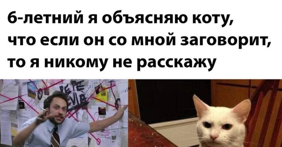 Мем с котом который говорит на китайском