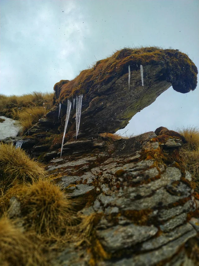 Кусачая гора