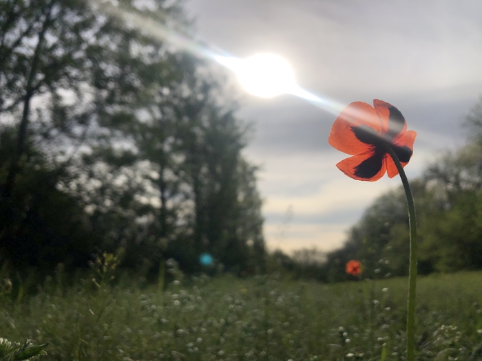 MAK����� n���o� �o�����y