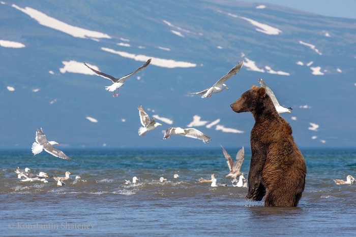 Ветер с моря дул