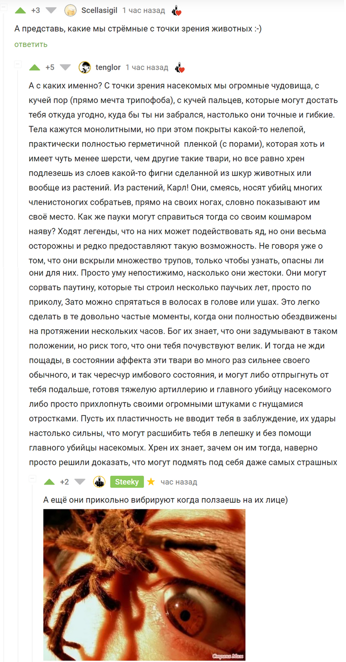 Пауки-трюкачи: истории из жизни, советы, новости, юмор и картинки — Все  посты, страница 110 | Пикабу