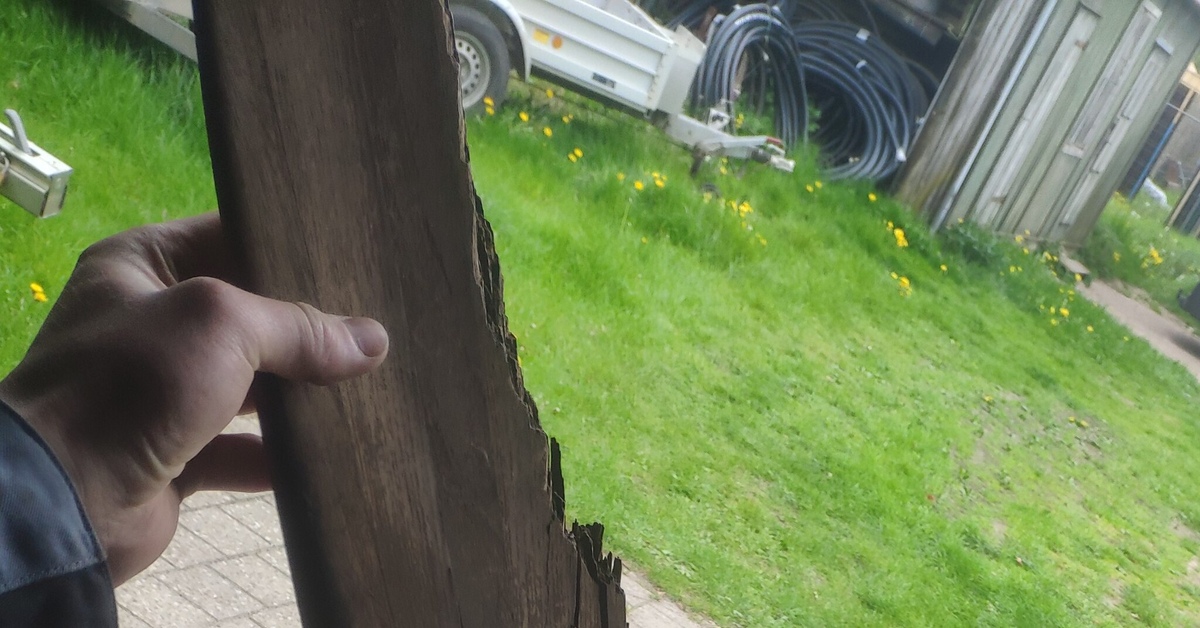 Обработка дерева в том числе от древоточцев. Вопрос | Пикабу