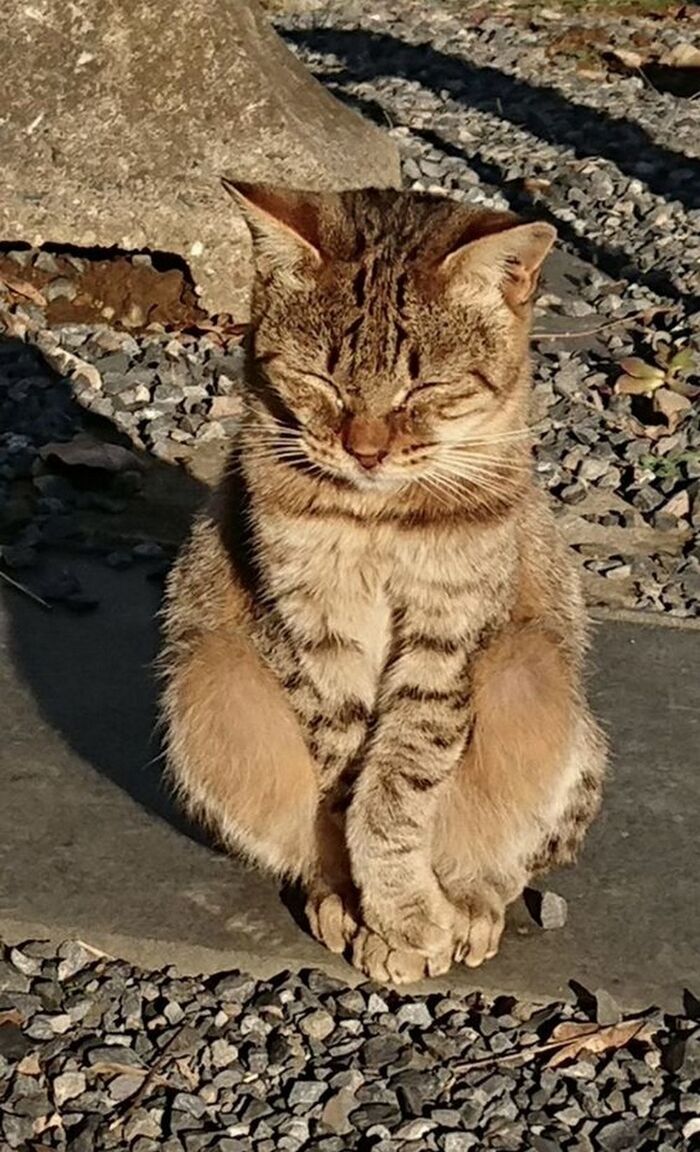 Сама невинность...