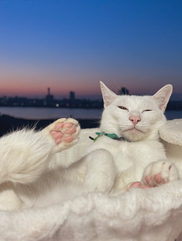 ��������-�������� ����-����