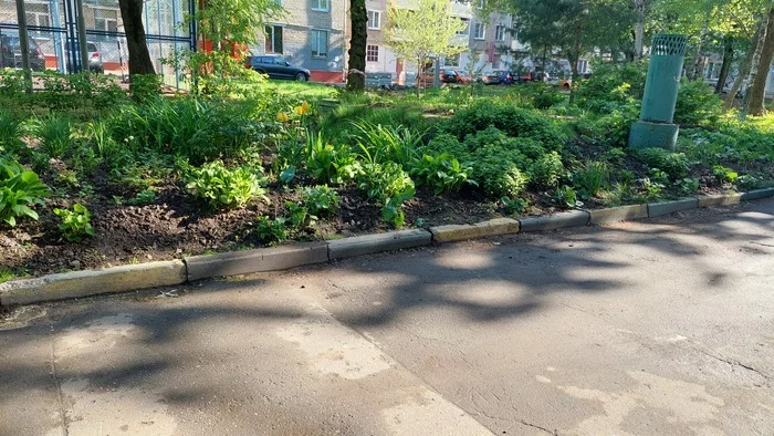 Гнилые бордюры Чиновники, Инфраструктура, Благоустройство, Москва