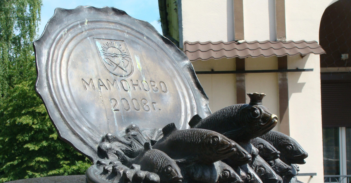 Памятник шпротам. Памятник шпротам в мамоново. Памятник шпротам в мамоново. Памятник шпротам. Памятник шпротам в мамоново.