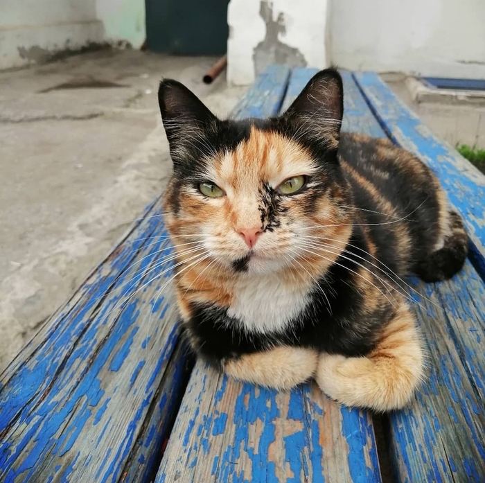 Ответ на пост «Природа красок не пожалела)»