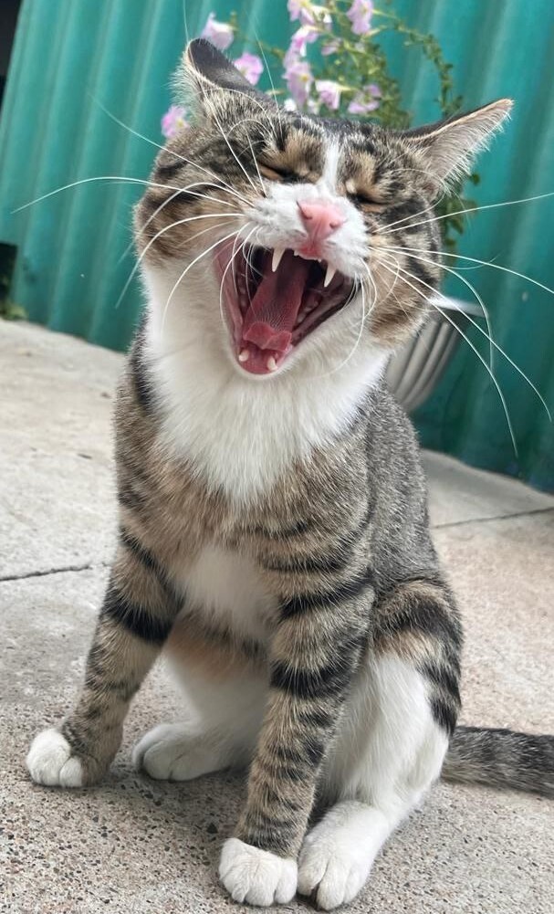 -: " ,     " , , , , , 