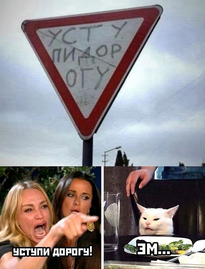 Дорожный знак Картинка с текстом, Две женщины орут на кота, Юмор, Неувязка, Рокк ебол
