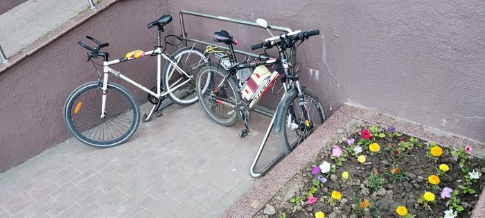 �� ������ �������������, ����� �����������  ��� *����