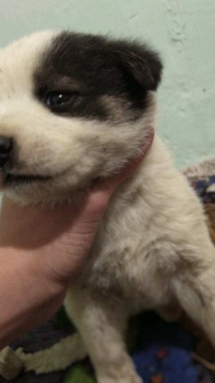 2 ��� ����� ���� ��� �����(�������� �������) :-(((