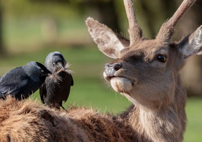 Что вы себе позволяете?