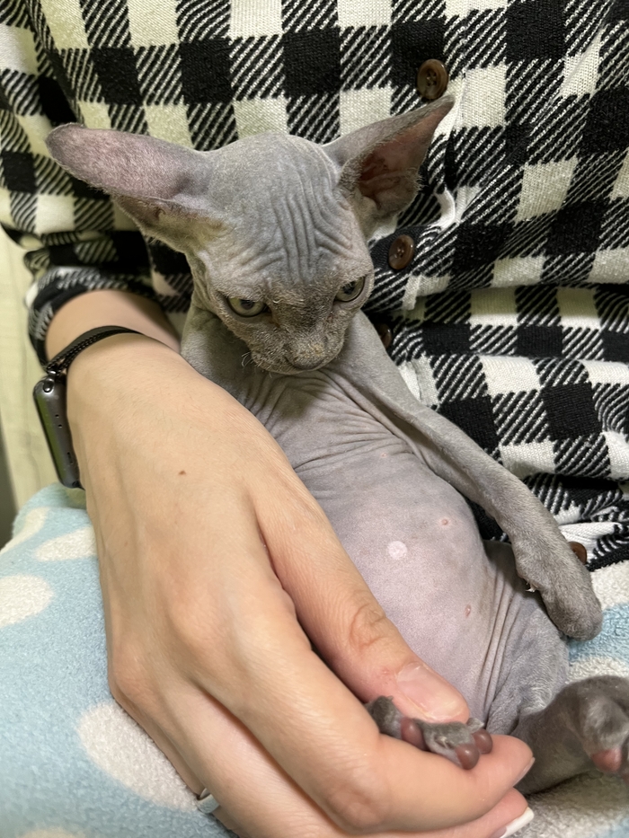 �-���������