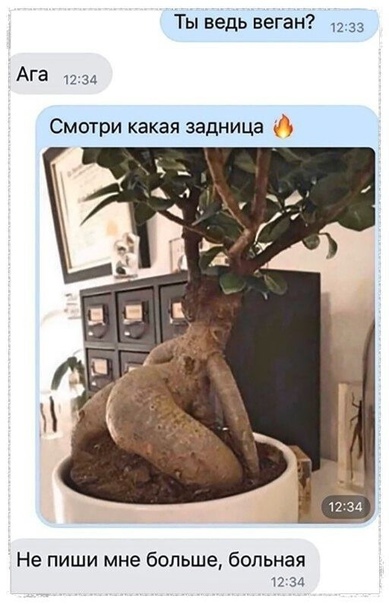 �� �����