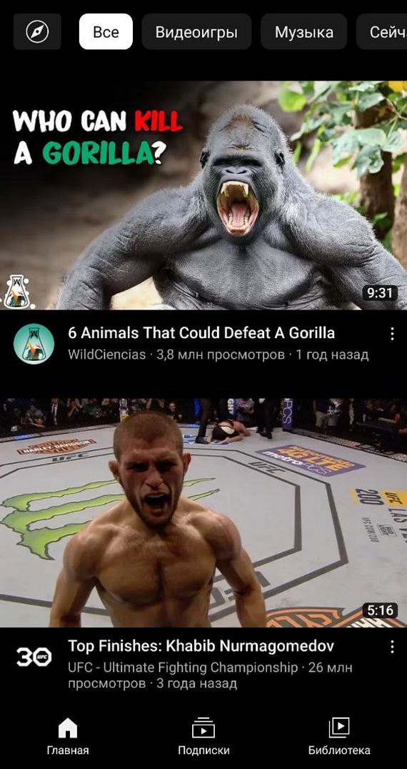 Khabib and monke