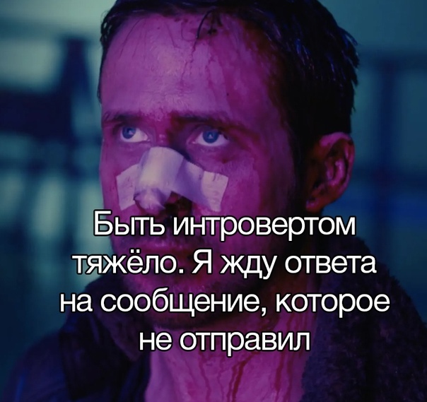 Интроверт | Пикабу
