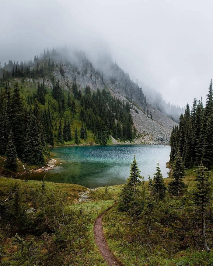 �����, ����, �����������