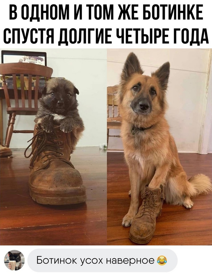 Ботинок | Пикабу