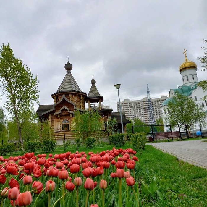 Проект зеленое кольцо москвы