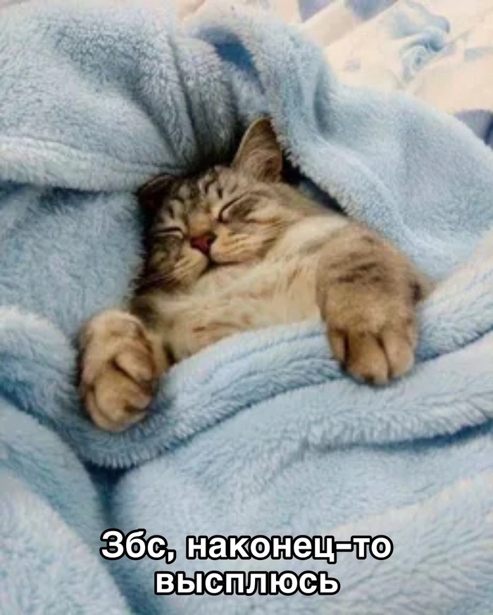 ������: �������� ���� � ������ � ���������: