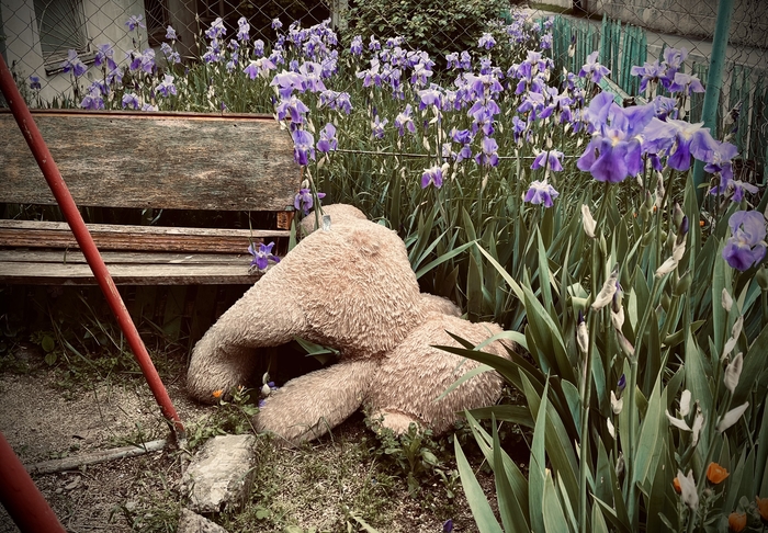 Не доброе утро