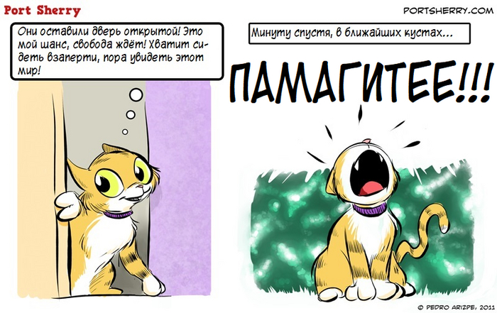 �������� ���