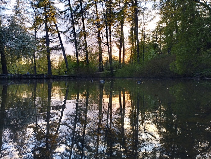 ���� ��������������� ��������