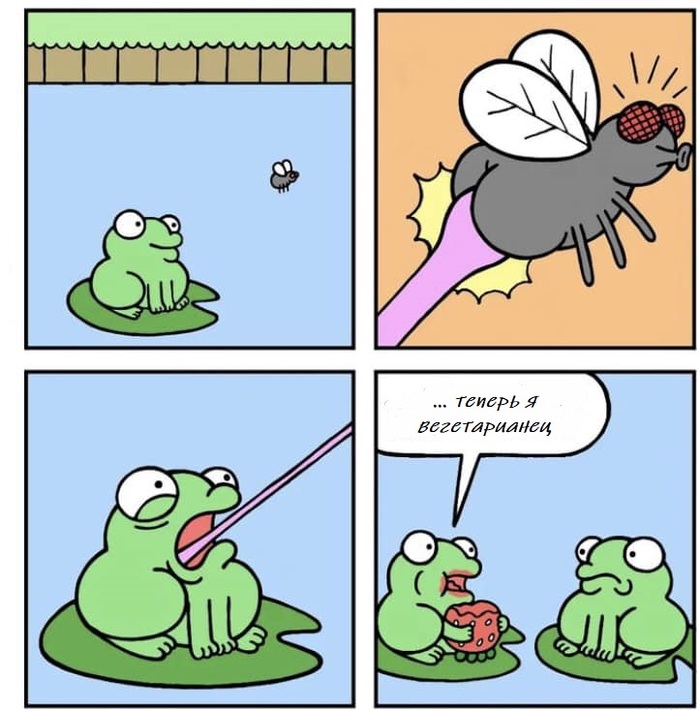 Веган | Пикабу
