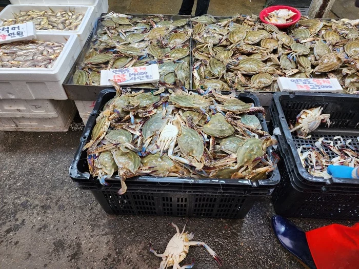 Рынок в Южной Корее Южная Корея, Рынок, Продукты, Цены, Гастрономия, Корейцы, Китайцы, Длиннопост Рынок в Южной Корее Южная Корея, Рынок, Продукты, Цены, Гастрономия, Корейцы, Китайцы, Длиннопост