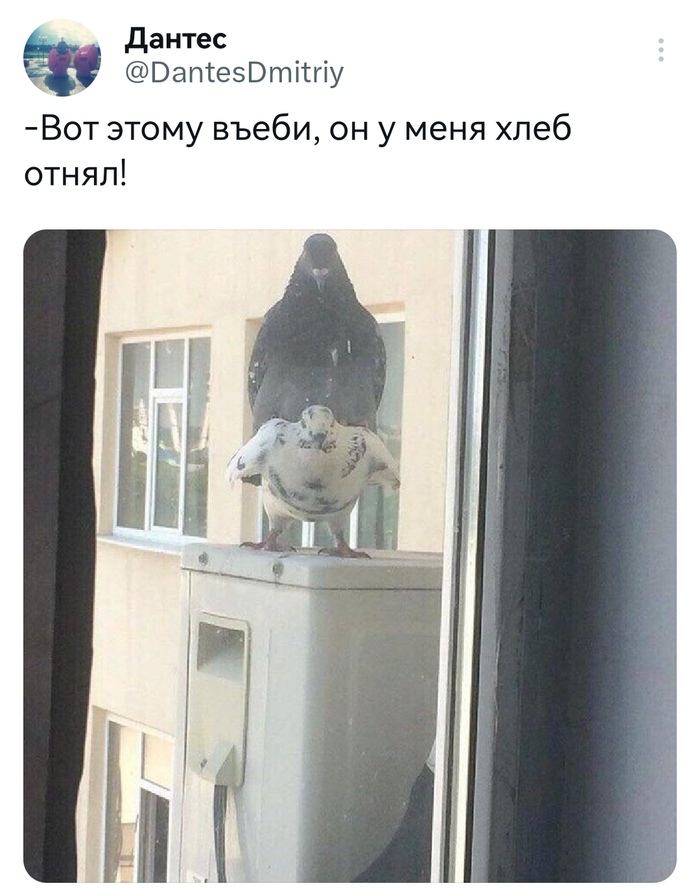 Прибыл с подмогой