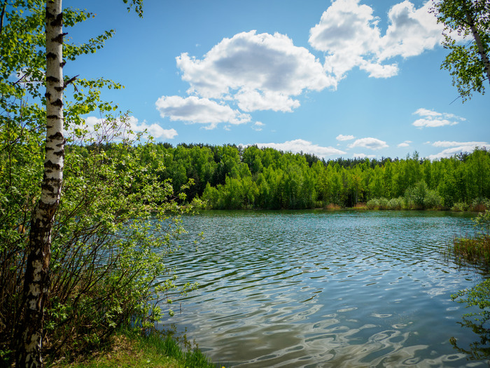 Погожий майский понедельник