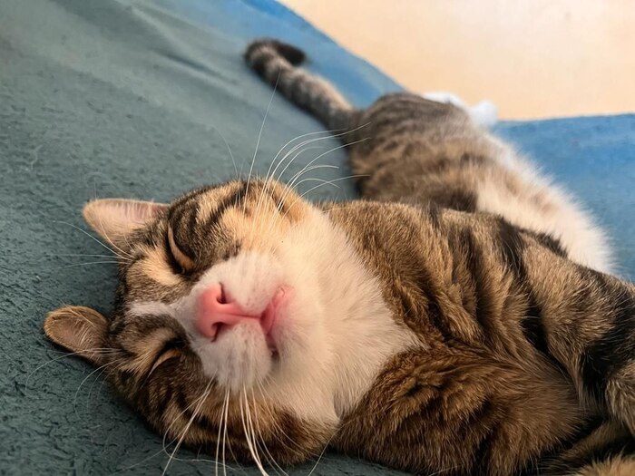 &quot;      ,    ..&quot;
