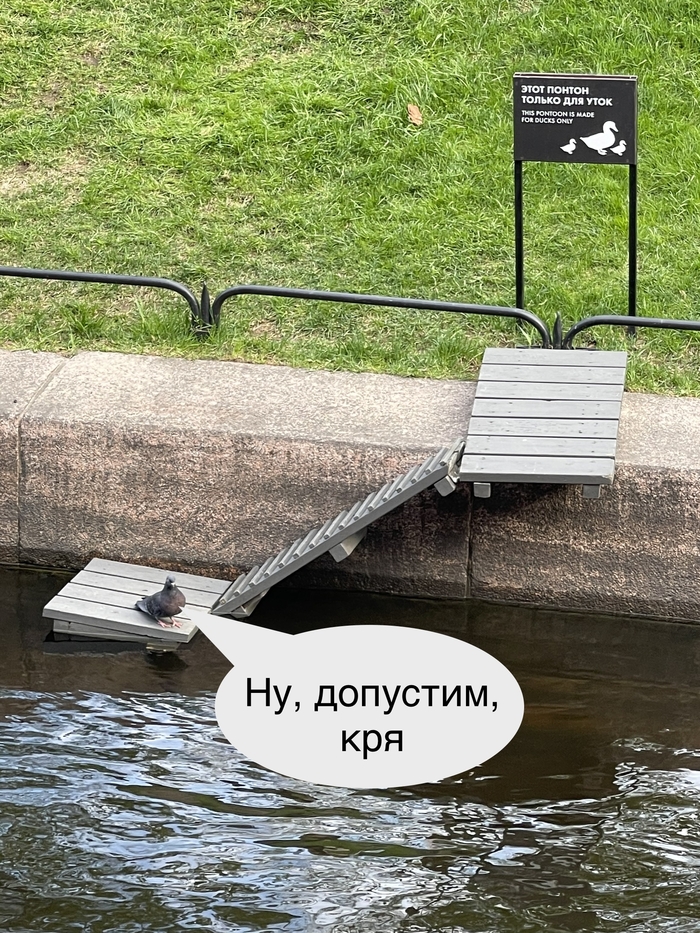 Нарушитель