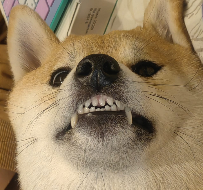   ? , -, , 