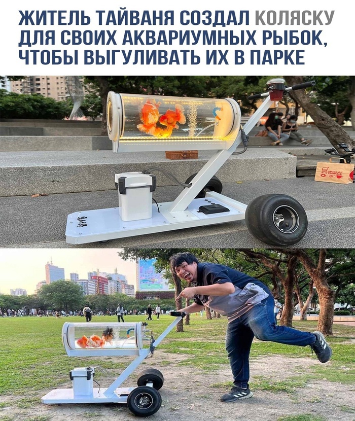     , ,  ,   