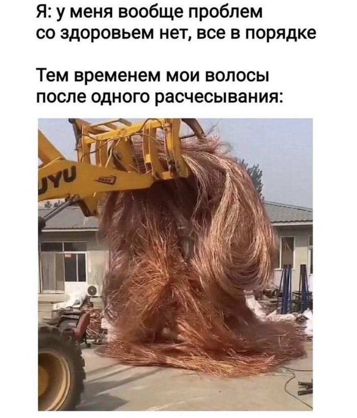    , ,  , , , 
