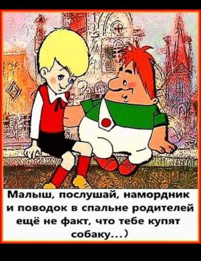 Собаки не будет? | Пикабу
