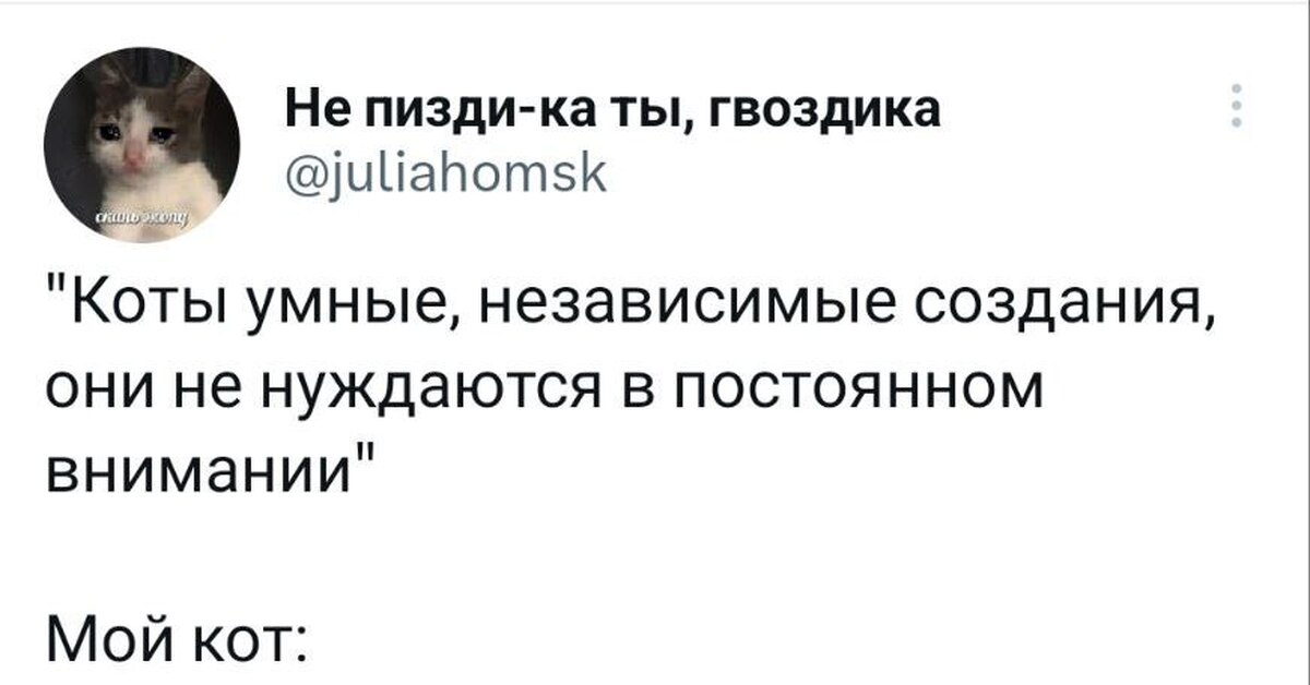 @psihothink_ • Ой ни пизди-ка, ты гвоздика😁😂 • Threads