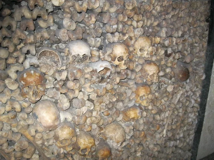 Катакомбы Парижа Париж, Катакомбы, Европа, Познавательно, Факты, Путешествия, Туризм, Поездка, Длиннопост Катакомбы Парижа Париж, Катакомбы, Европа, Познавательно, Факты, Путешествия, Туризм, Поездка, Длиннопост