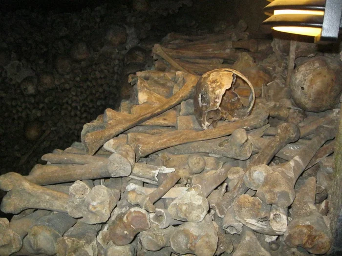 Катакомбы Парижа Париж, Катакомбы, Европа, Познавательно, Факты, Путешествия, Туризм, Поездка, Длиннопост Катакомбы Парижа Париж, Катакомбы, Европа, Познавательно, Факты, Путешествия, Туризм, Поездка, Длиннопост