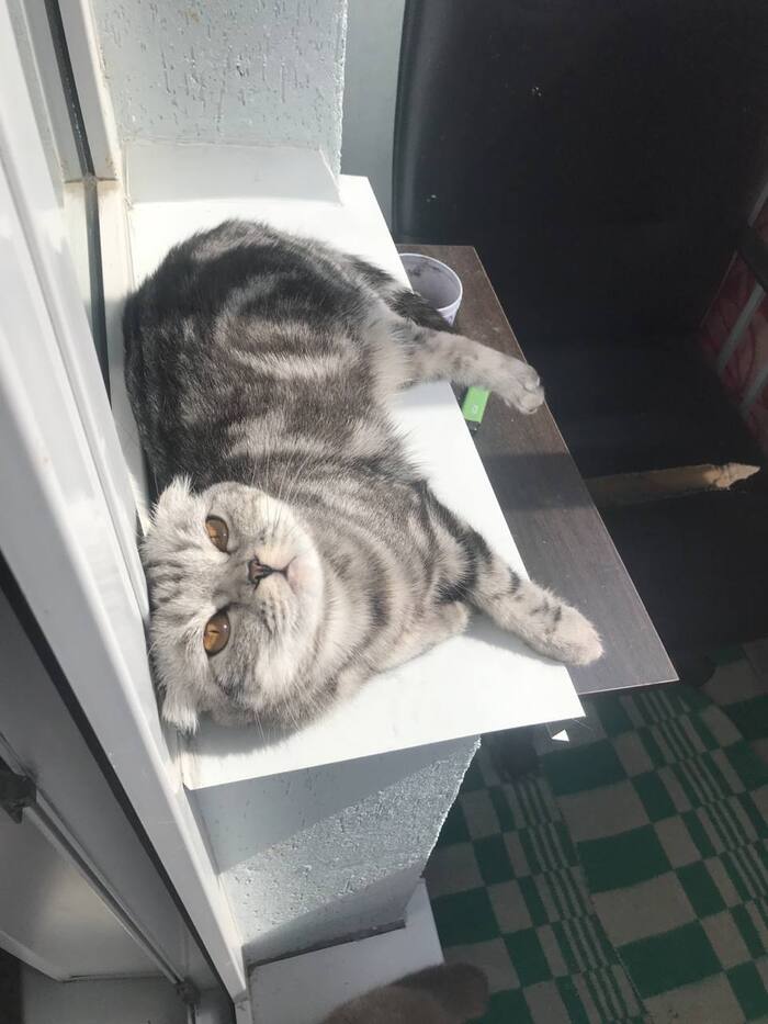 ���? ����? ����������?