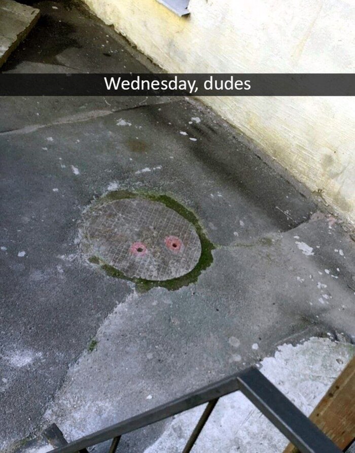 ,      , It Is Wednesday My Dudes, , ,   , ,  