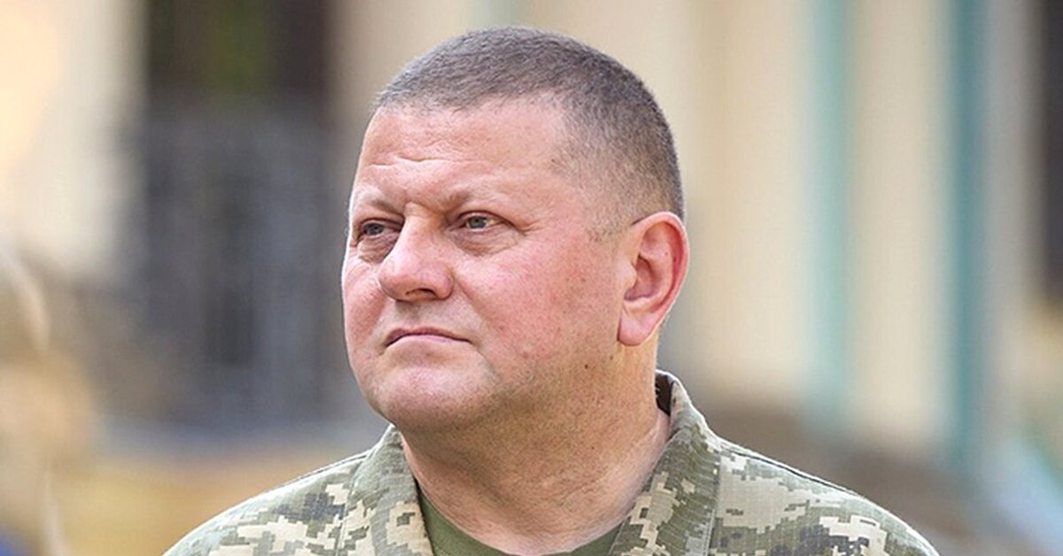 Украинский генерал командующий армией. Главком ВСУ Залужный. Залужный главнокомандующий ВСУ.