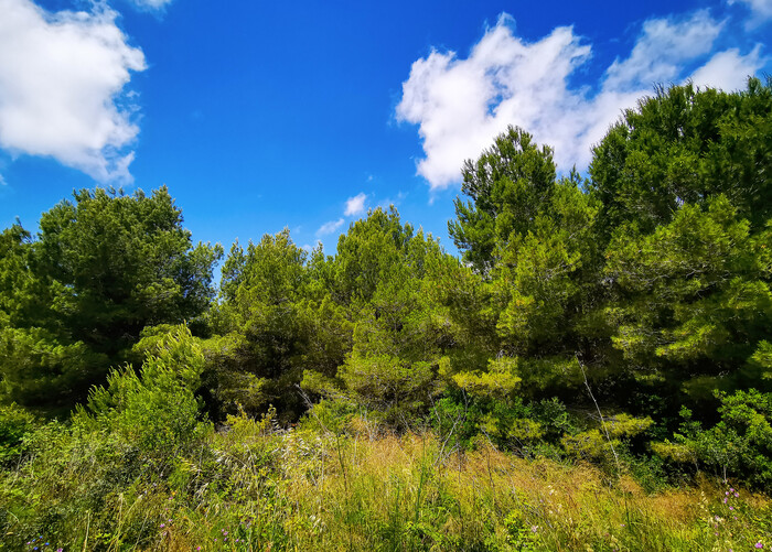 Salses-le-Chteau, France Фотография, Франция, Мобильная фотография, Huawei P30 PRO, Уличная фотография, Прогулка по городу, Длиннопост