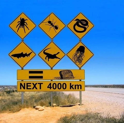Если есть на свете рай - это австралийский край Картинки, Австралия, Фотография, Знаки, Дорожный знак, Опасность, Животные, Райское место, Повтор