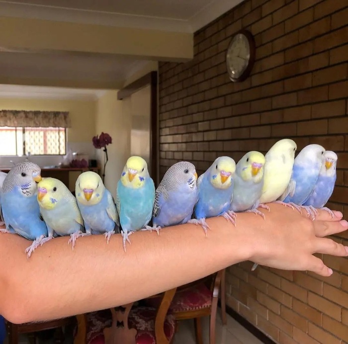 ��������, ����, �������� � ���