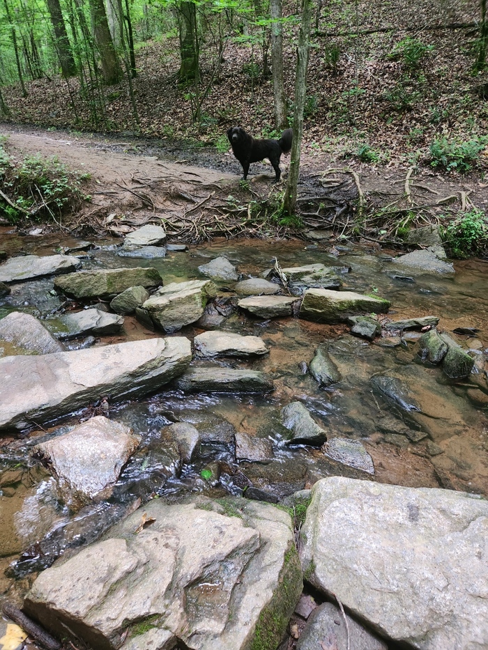 Ещё одно утро...