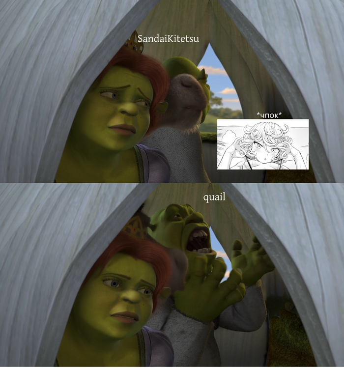 Ответ quail в «Tatsumaki»