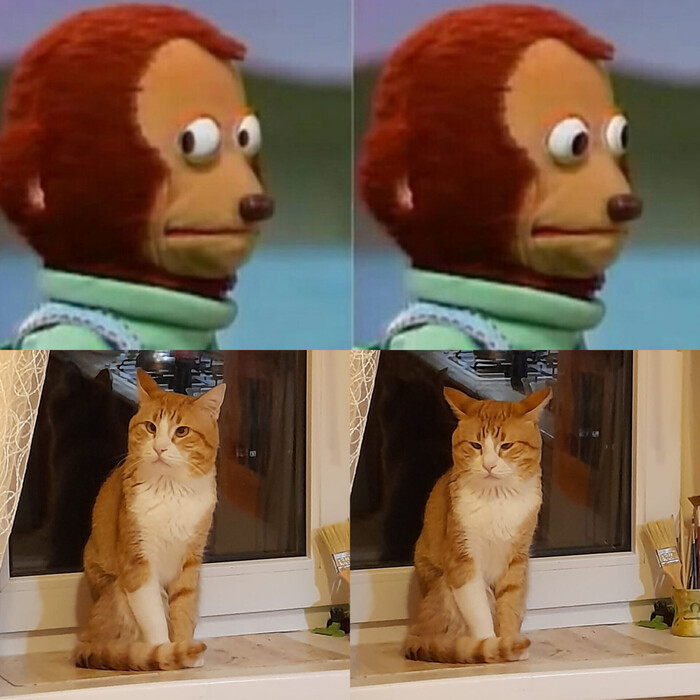 "   ?" , 