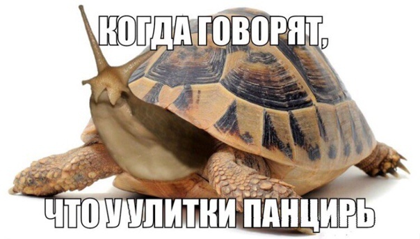 Бесите!! | Пикабу